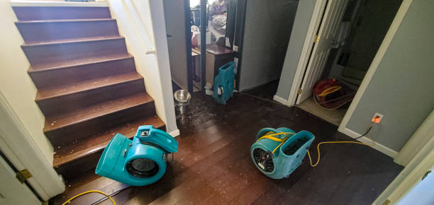 Best 24-hour water damage restoration  in Unionville, NC