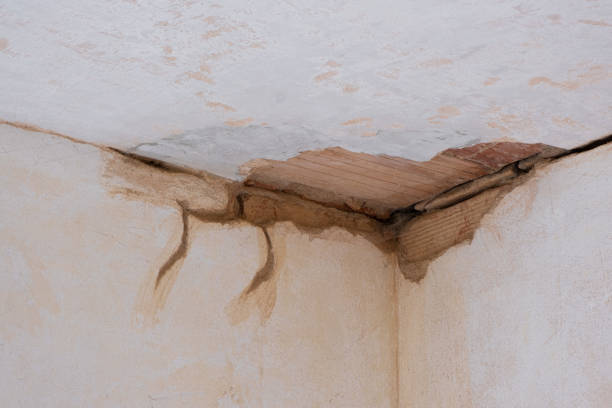 Best Flood restoration services  in Unionville, NC