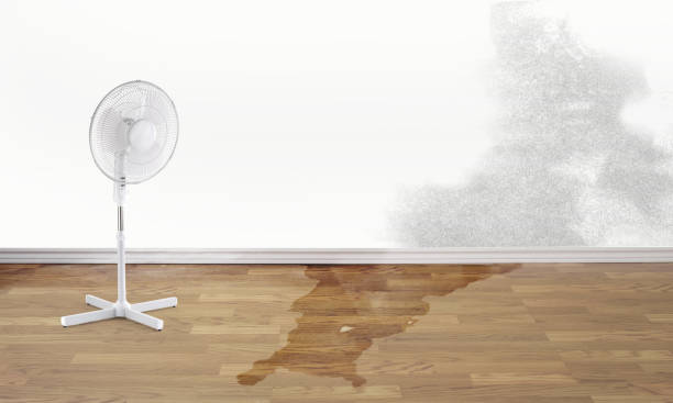 Best Basement water damage restoration  in Unionville, NC